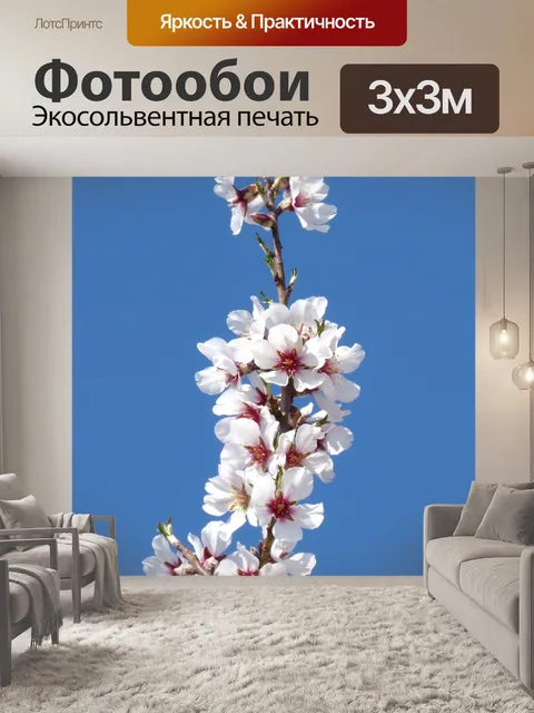 Фотообои Цветы