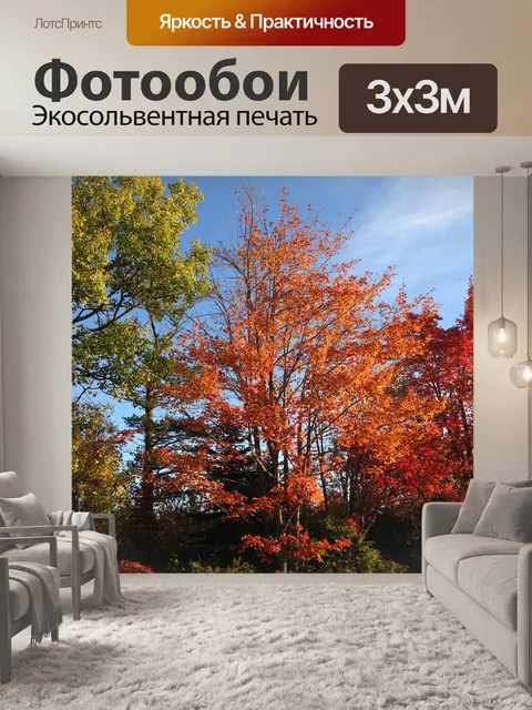 Фотообои Деревья