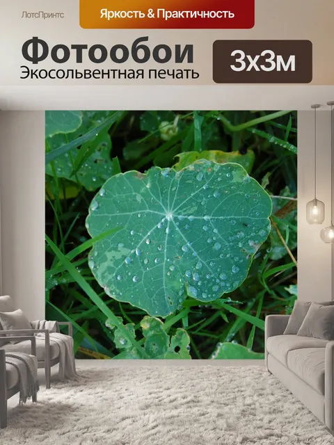 Фотообои Лист