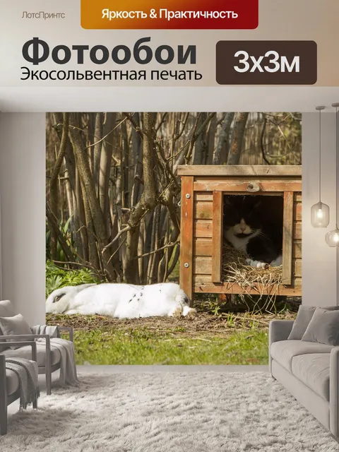 Фотообои Кролик