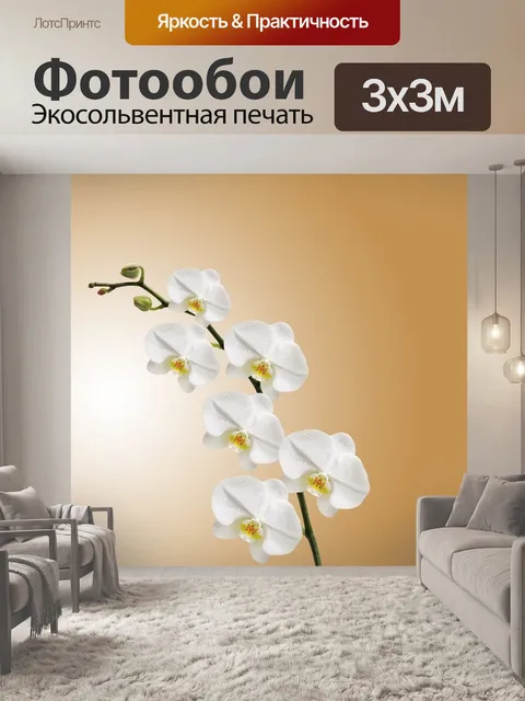 Фотообои Цветы