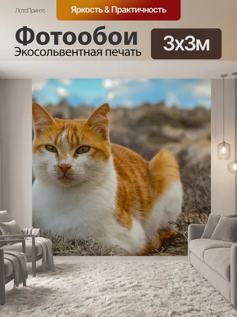 Фотообои Кошка