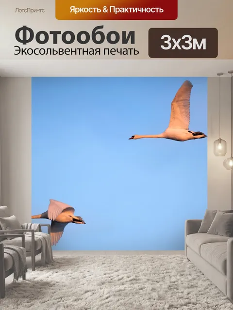 Фотообои Лебеди