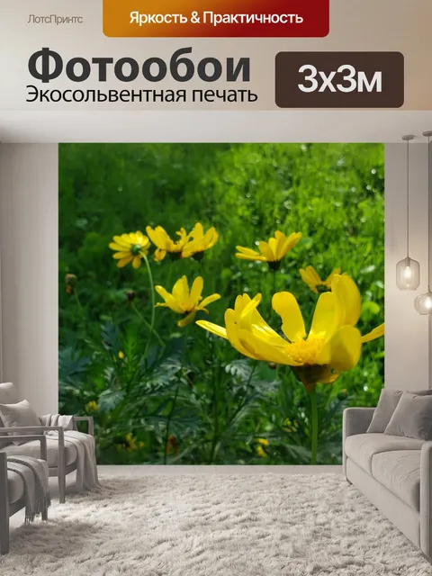 Фотообои Желтые цветы ромашки