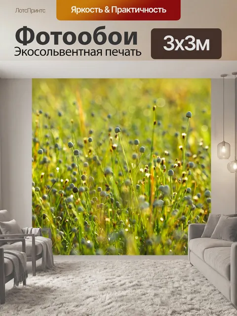 Фотообои Цветы