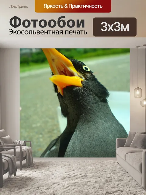 Фотообои Джаван майны