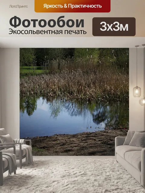 Фотообои См Парк