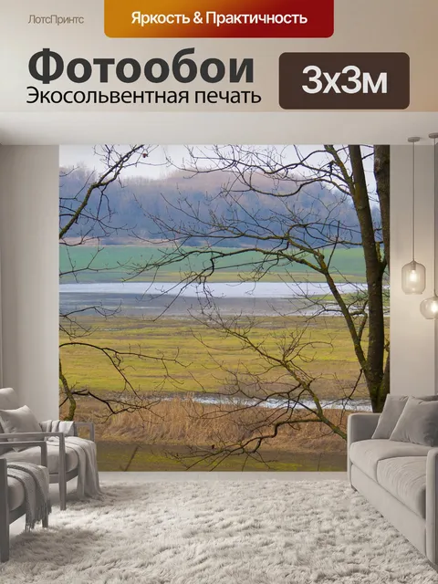 Фотообои Лес