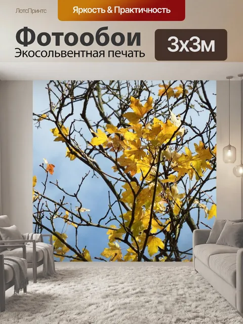 Фотообои Клен