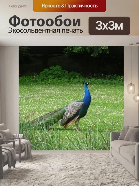 Фотообои Павлин