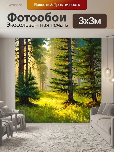 Фотообои сосновый лес с мягким светом, пробивающимся между деревьями