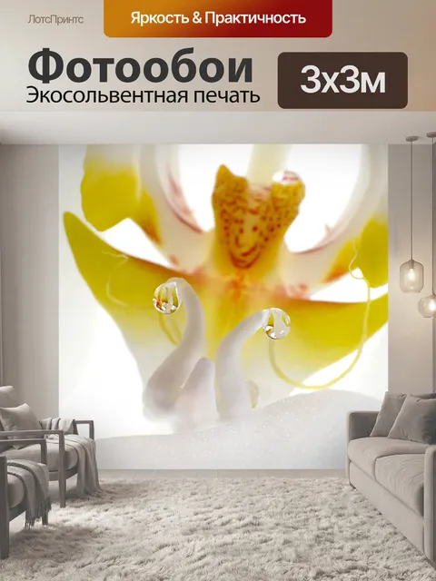 Фотообои Орхидея