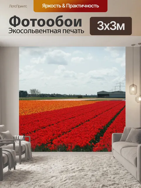 Фотообои Лампы нидерландах