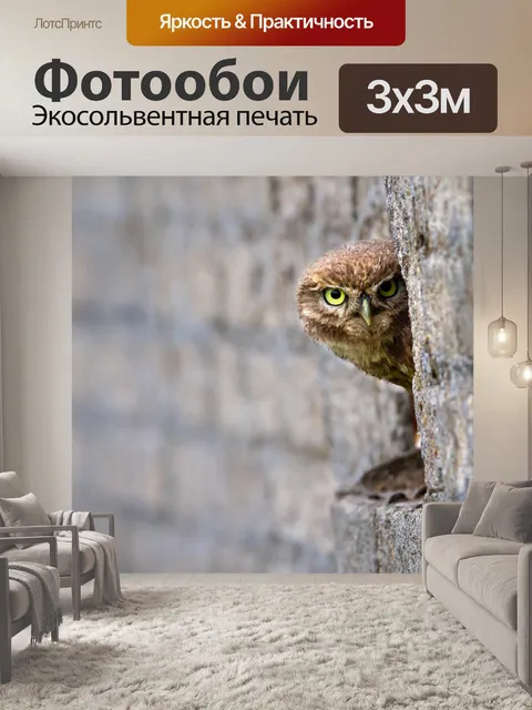 Фотообои Сова