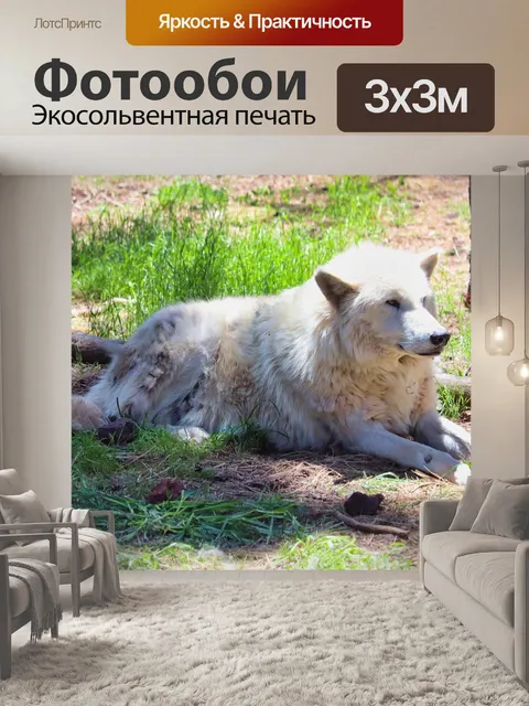 Фотообои Волк
