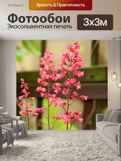 Фотообои Цветы