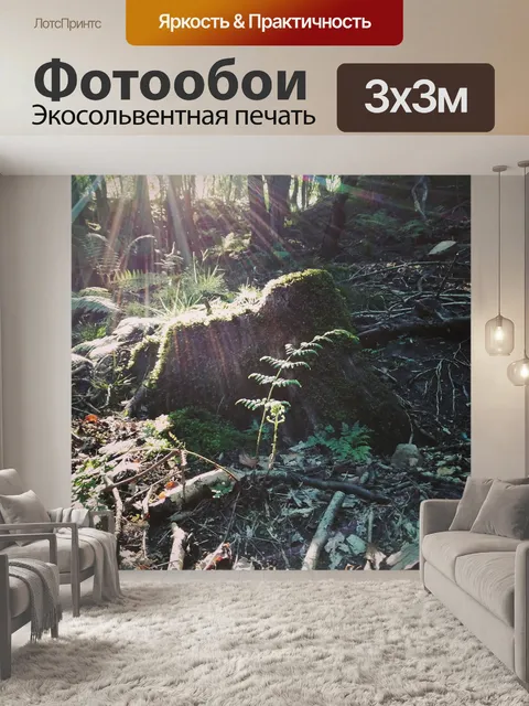 Фотообои Деревья