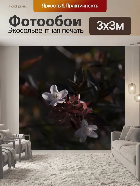 Фотообои Крошечный цветок на растении