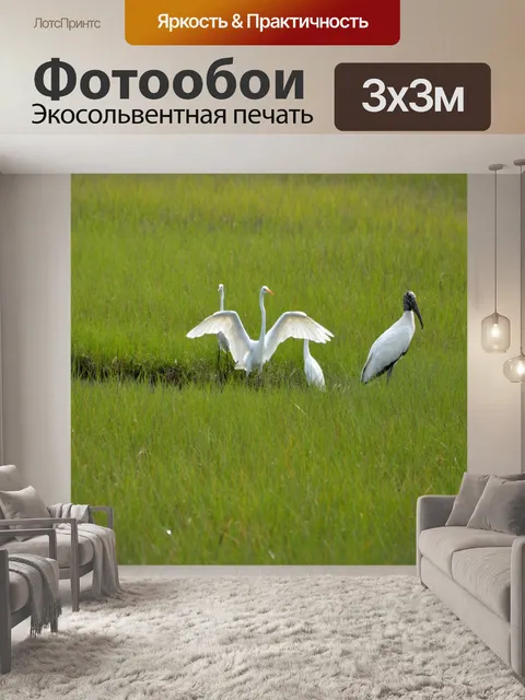 Фотообои Тропические птицы в дикой природе