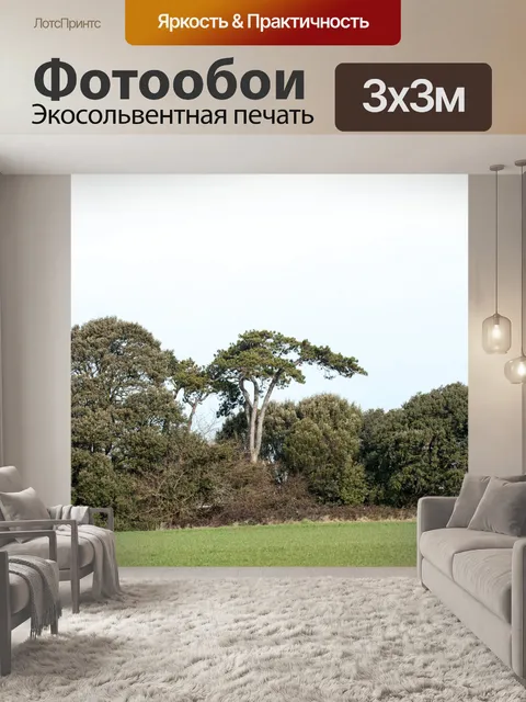 Фотообои Деревья в сельской местности