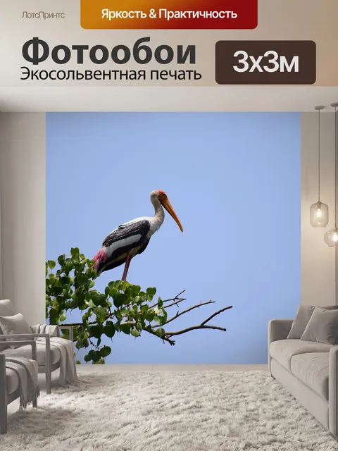 Фотообои Цапля