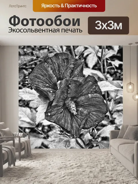 Фотообои Гибискус черно-белый
