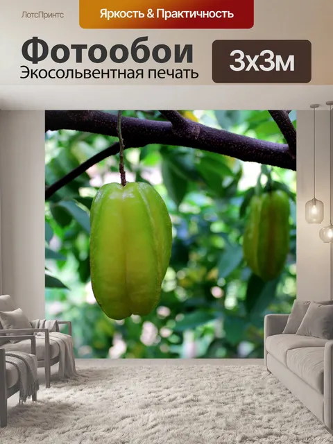 Фотообои Фрукты Star Fruit и Star Fruit Apple
