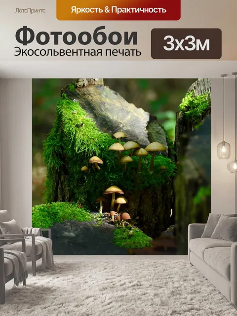 Фотообои Грибы