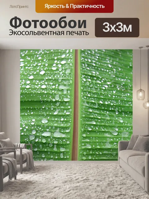 Фотообои Зеленый лист банан