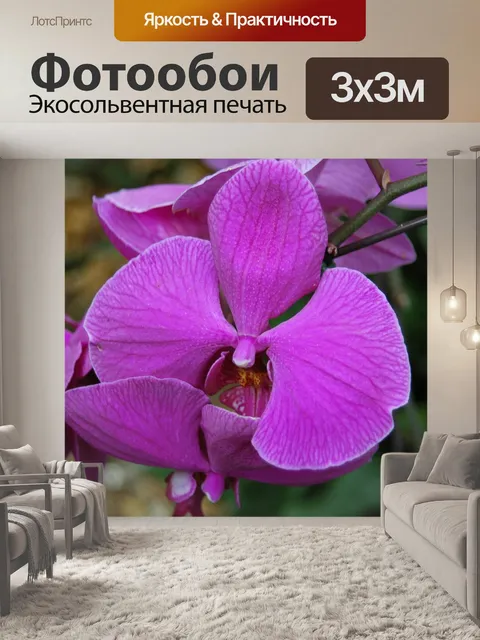 Фотообои Цветы