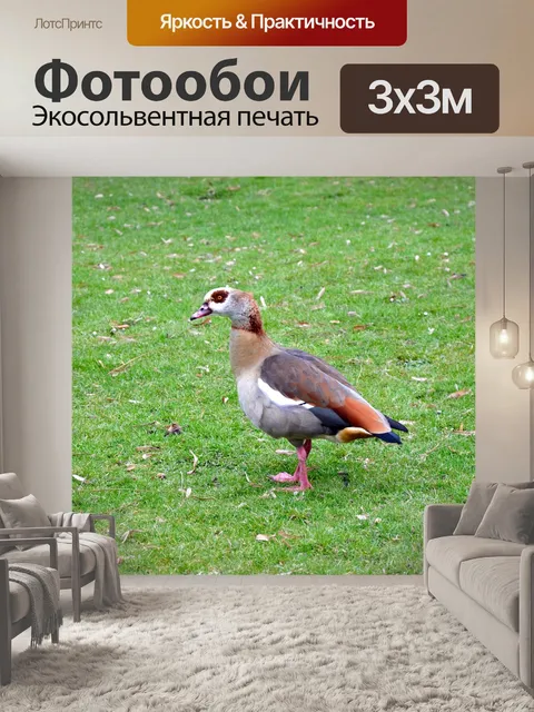 Фотообои Трава