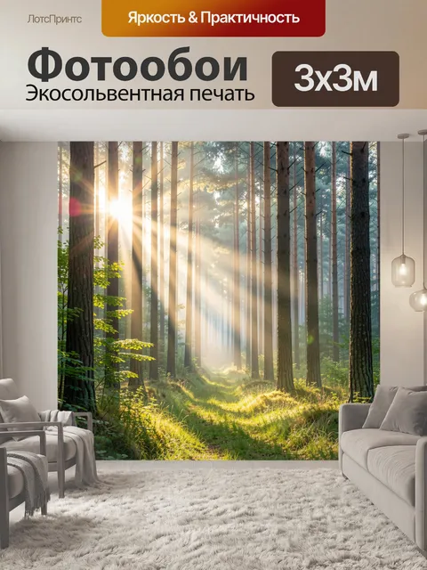 Фотообои Солнечный лес с лучами света