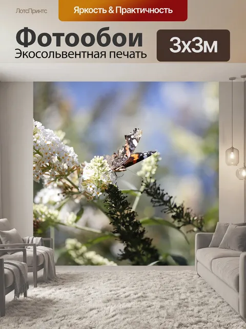 Фотообои Бабочка