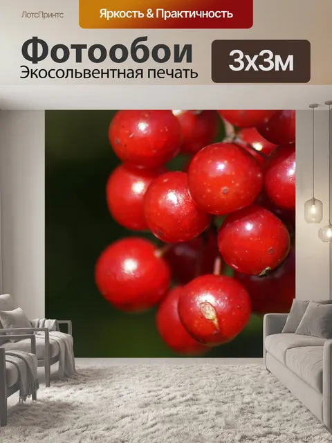 Фотообои Ягоды