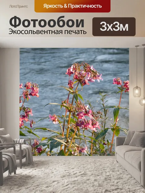 Фотообои Бальзам