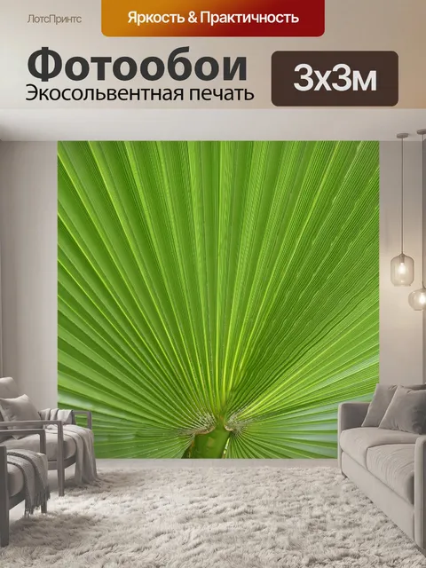Фотообои Пальма