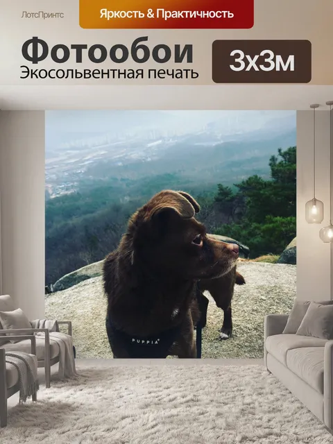 Фотообои Горная собака