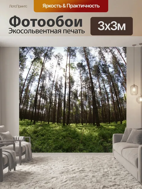 Фотообои Рыбий глаз