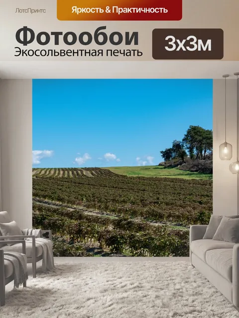 Фотообои Поле