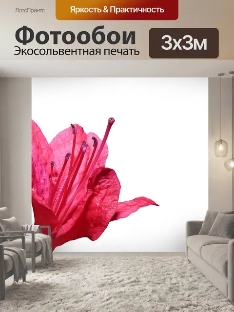 Фотообои Цветы