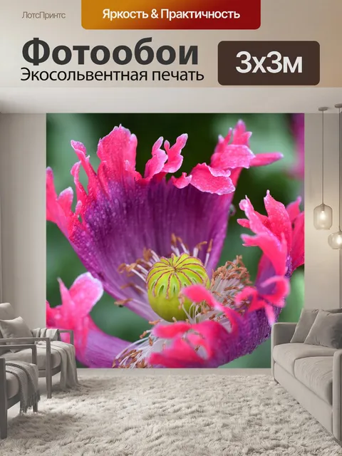 Фотообои Мак
