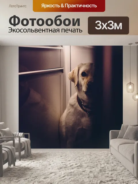 Фотообои Собака