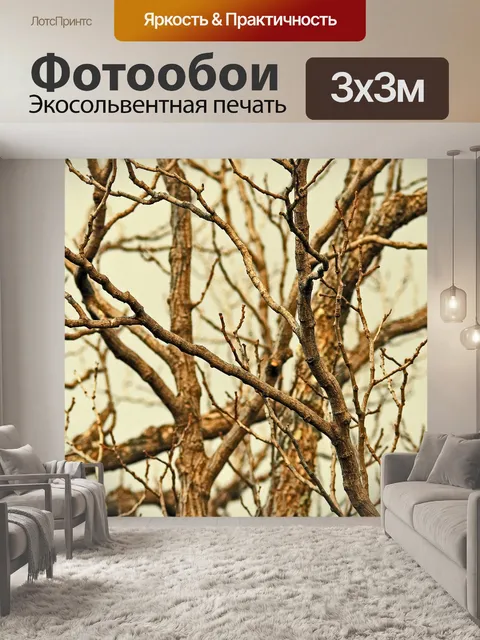 Фотообои веточки и ветви в зимнем небе