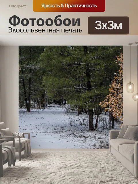 Фотообои Путь снежного леса