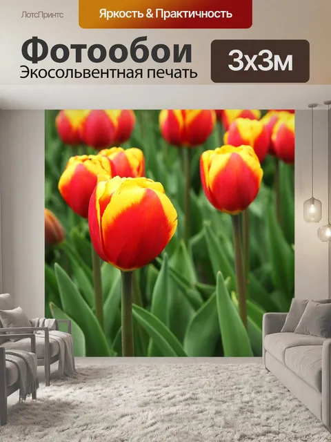 Фотообои Красный