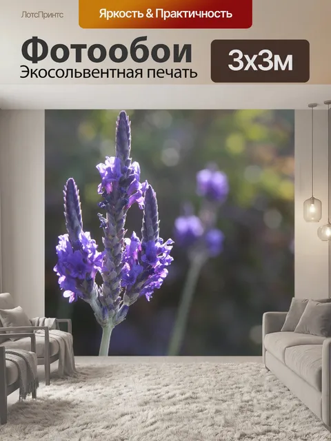 Фотообои Лаванда