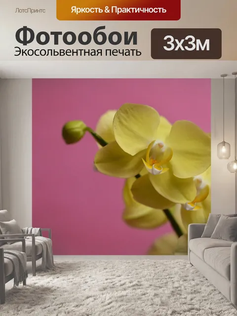 Фотообои Орхидея