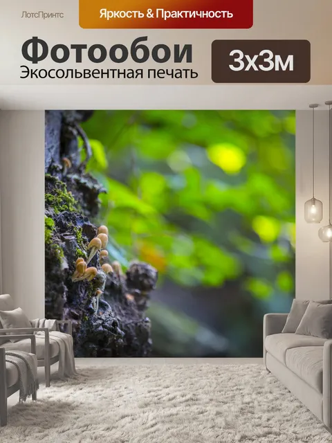 Фотообои грибы