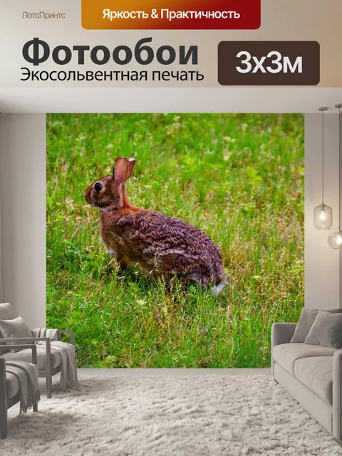 Фотообои Кролик