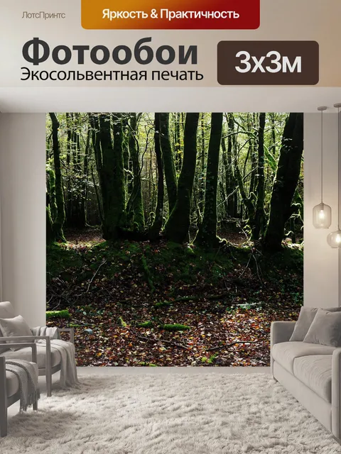 Фотообои Лес